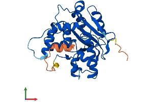 AlphaFold protein structure predicition of Human Recombinant CNOT7 Protein, UniprotID Q9UIV1