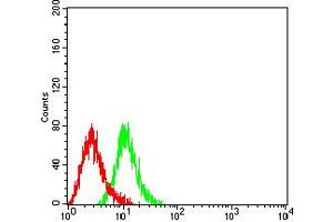 Flow cytometric analysis of HL-60 cells using CD104 mouse mAb (green) and negative control (red).