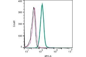 anti-Galanin Receptor 3 (GALR3) (AA 159-172), (Extracellular) antibody