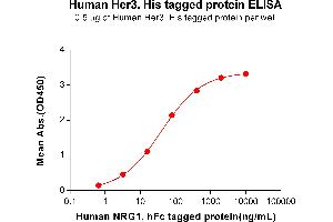 ELISA plate pre-coated by 2 μg/mL (100 μL/well) Human , His tagged protein (ABIN6961140, ABIN7042309 and ABIN7042310) can bind Human , hFc tagged protein ABIN6964402, ABIN7042501 and ABIN7042502 in a linear range of 3.