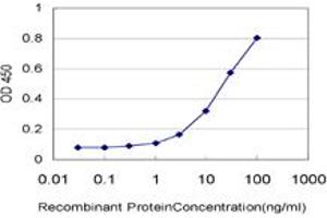 anti-Tripartite Motif Containing 37 (TRIM37) (AA 865-964) antibody