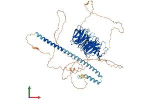 AlphaFold protein structure predicition of Human Recombinant TLE2 Protein, UniprotID Q04725