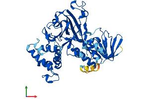 AlphaFold protein structure predicition of Human Recombinant GDI1 Protein, UniprotID P31150