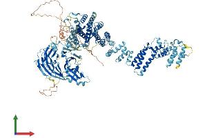 AlphaFold protein structure predicition of Mouse Recombinant Nup133 Protein, UniprotID Q8R0G9
