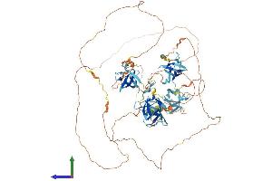 AlphaFold protein structure predicition of Human Recombinant SH3D19 Protein, UniprotID Q5HYK7