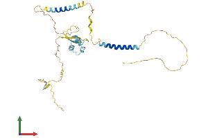 AlphaFold protein structure predicition of Human Recombinant LYSMD4 Protein, UniprotID Q5XG99