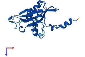 AlphaFold protein structure predicition of Mouse Recombinant Sat1 Protein, UniprotID P48026