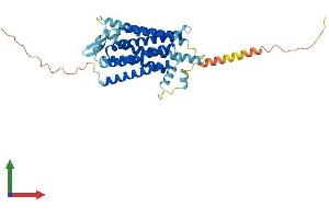 AlphaFold protein structure predicition of Mouse Recombinant Tacr2 Protein, UniprotID P30549