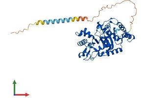 AlphaFold protein structure predicition of Mouse Recombinant St8sia5 Protein, UniprotID P70126