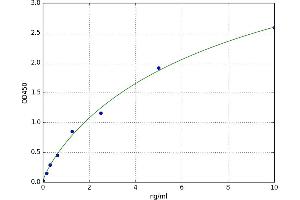 Fatty Acid Binding Protein (FABP) ELISA Kit