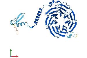 AlphaFold protein structure predicition of Mouse Recombinant Gnb5 Protein, UniprotID P62881