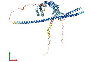 AlphaFold protein structure predicition of Mouse Recombinant Klc1 Protein, UniprotID O88447