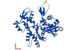 AlphaFold protein structure predicition of Mouse Recombinant Actg1 Protein, UniprotID P63260
