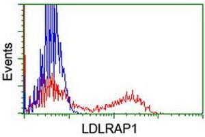 Flow Cytometry (FACS) image for anti-Low Density Lipoprotein Receptor Adaptor Protein 1 (LDLRAP1) antibody (ABIN1496685) (LDLRAP1 anticorps)