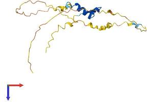 AlphaFold protein structure predicition of Human Recombinant CITED4 Protein, UniprotID Q96RK1