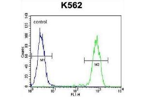 ELAVL2 Antibody (Center) flow cytometric analysis of K562 cells (right histogram) compared to a negative control cell (left histogram).