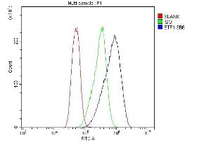 Flow Cytometry analysis of CACO-2 cells using anti- eRF1/ETF1 antibody (ABIN7602625). (ETF1 anticorps  (AA 9-342))