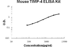 Mouse TIMP-4 PicoKine ELISA Kit standard curve (TIMP4 Kit ELISA)