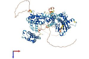 AlphaFold protein structure predicition of Mouse Recombinant Kat2b Protein, UniprotID Q9JHD1