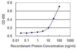 Detection limit for recombinant GST tagged BCL2L14 is 1 ng/ml as a capture antibody. (BCL2L14 anticorps  (AA 1-327))
