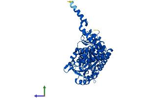 AlphaFold protein structure predicition of Mouse Recombinant Shmt1 Protein, UniprotID P50431