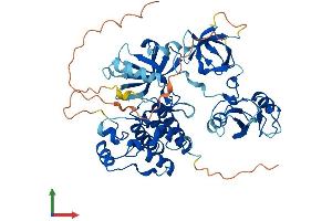 AlphaFold protein structure predicition of Mouse Recombinant Frk Protein, UniprotID Q922K9