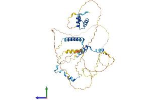 AlphaFold protein structure predicition of Mouse Recombinant Nusap1 Protein, UniprotID Q9ERH4