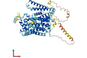 AlphaFold protein structure predicition of Mouse Recombinant Slc7a2 Protein, UniprotID P18581