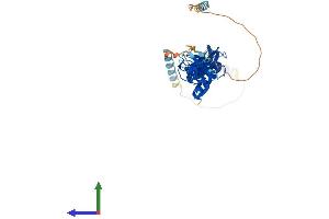AlphaFold protein structure predicition of Mouse Recombinant Lpxn Protein, UniprotID Q99N69