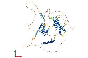 AlphaFold protein structure predicition of Human Recombinant NOL4 Protein, UniprotID O94818