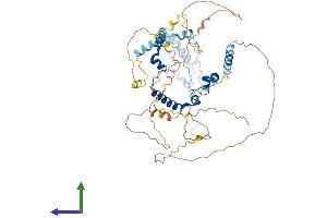 AlphaFold protein structure predicition of Human Recombinant PHACTR1 Protein, UniprotID Q9C0D0