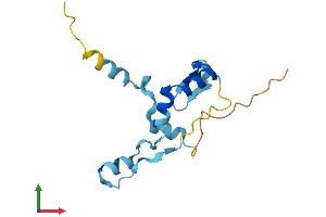 AlphaFold protein structure predicition of Human Recombinant ZNF593 Protein, UniprotID O00488