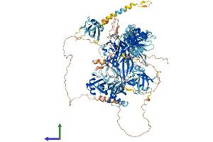 AlphaFold protein structure predicition of Mouse Recombinant Usp47 Protein, UniprotID Q8BY87