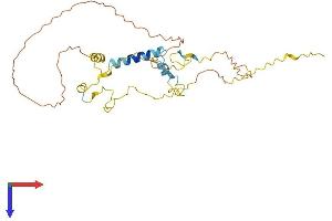 AlphaFold protein structure predicition of Human Recombinant MYOZ1 Protein, UniprotID Q9NP98