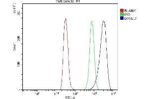 Flow Cytometry analysis of NRK cells using anti-DYNLL1/PIN antibody (ABIN7599571).