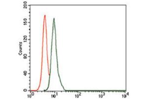 Flow Cytometry (FACS) image for anti-Secretoglobin, Family 1A, Member 1 (Uteroglobin) (SCGB1A1) (AA 26-91) antibody (ABIN1846068)