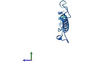 AlphaFold protein structure predicition of Mouse Recombinant Ndufa4 Protein, UniprotID Q62425