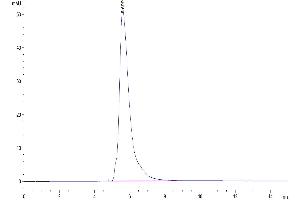 The purity of Human PD-L1 is greater than 95 % as determined by SEC-HPLC.