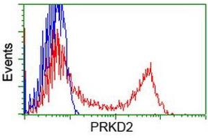 Flow Cytometry (FACS) image for anti-Protein Kinase D2 (PKD2) antibody (ABIN1500414) (PKD2 anticorps)