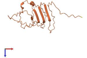 AlphaFold protein structure predicition of Human Recombinant PLAC4 Protein, UniprotID Q8WY50