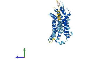 AlphaFold protein structure predicition of Human Recombinant PTAFR Protein, UniprotID P25105