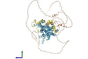 AlphaFold protein structure predicition of Mouse Recombinant Phtf2 Protein, UniprotID Q8CB19