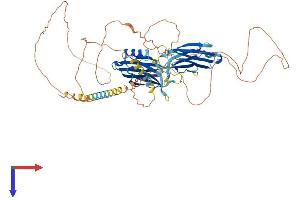 AlphaFold protein structure predicition of Human Recombinant SYT16 Protein, UniprotID Q17RD7