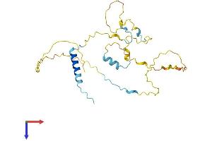 AlphaFold protein structure predicition of Human Recombinant CDCA5 Protein, UniprotID Q96FF9