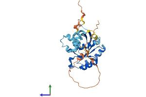 AlphaFold protein structure predicition of Human Recombinant RAB40B Protein, UniprotID Q12829