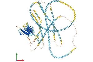 AlphaFold protein structure predicition of Human Recombinant KIF15 Protein, UniprotID Q9NS87