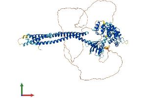 AlphaFold protein structure predicition of Mouse Recombinant Asap3 Protein, UniprotID Q5U464