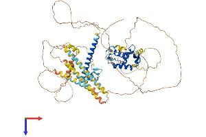 AlphaFold protein structure predicition of Human Recombinant FOXP1 Protein, UniprotID Q9H334