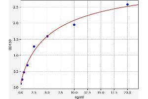 Typical standard curve