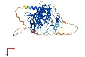 AlphaFold protein structure predicition of Human Recombinant MOK Protein, UniprotID Q9UQ07